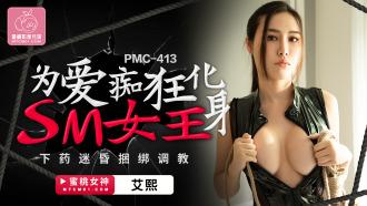 PMC413