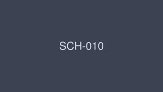 SCH-010